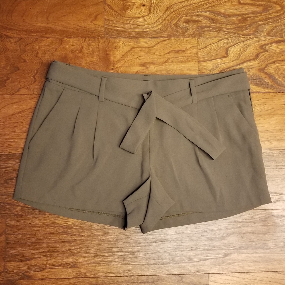 Express Dressy Shorts
